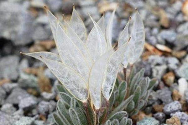 永利官网注册相关推荐10