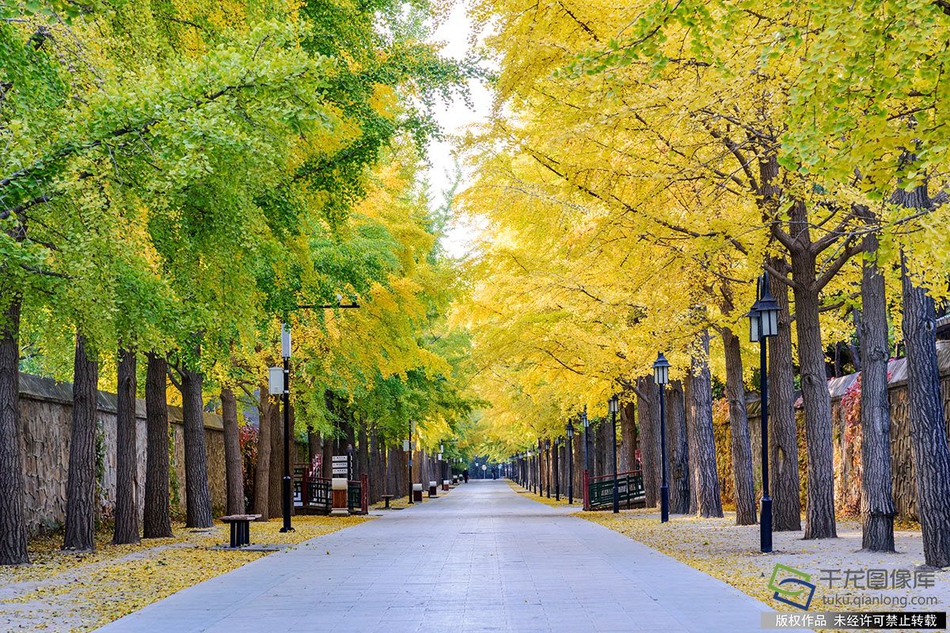 开云游戏app平台-江西师大男学生虐猫