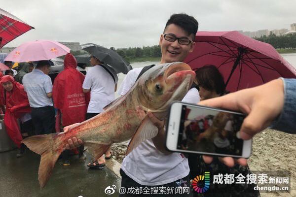 kok电竞首页-突然发现职位越高的人越爱上班