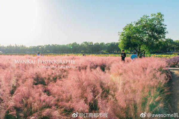 半岛在线登录下载-半岛在线登录下载