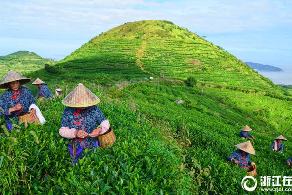 半岛在线登录下载相关推荐4