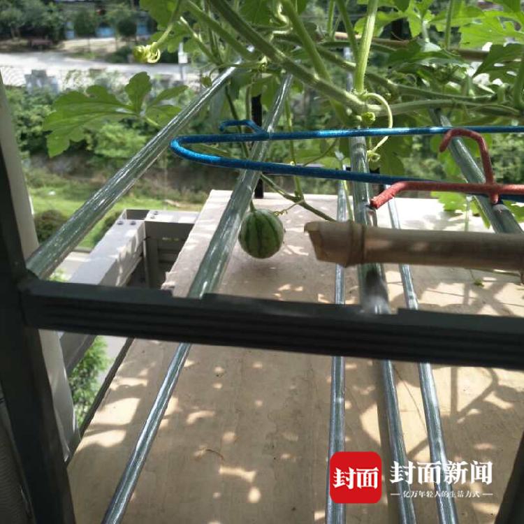 开云体肓app相关推荐8