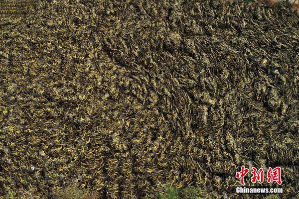 乐鱼在线登录平台相关推荐10