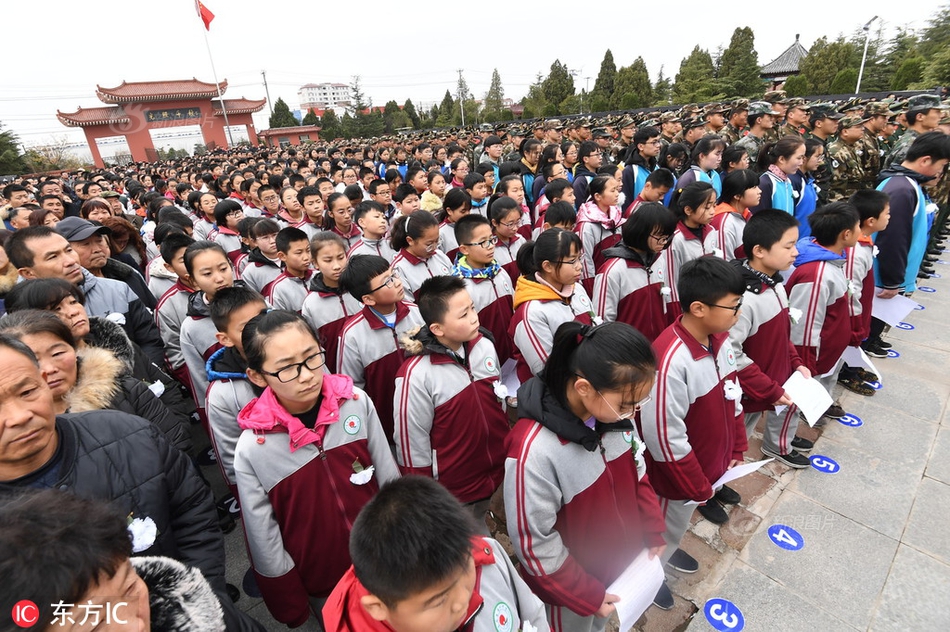 半岛在线登录官网