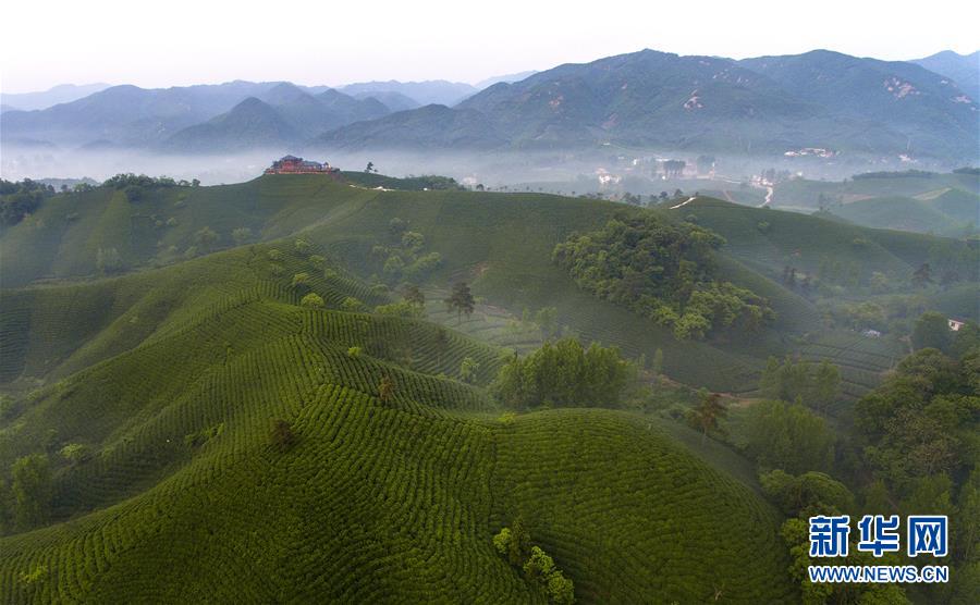 必威登录平台-必威登录平台