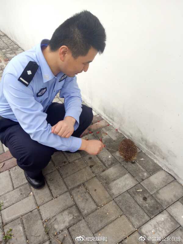 欧宝在线平台官网-欧宝在线平台官网