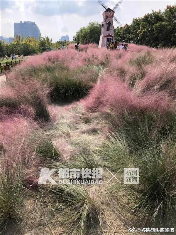 半岛在线登录下载-半岛在线登录下载