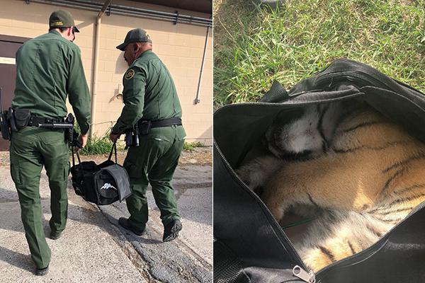 财神到游戏平台-初中男生体育课热身运动后死亡 当地教育局：排除刑案