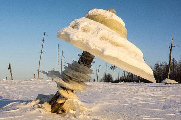 星空网页版在线登陆相关推荐4