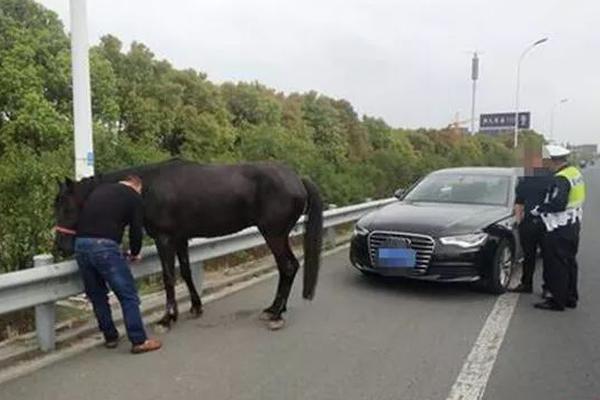 kok电竞首页相关推荐1