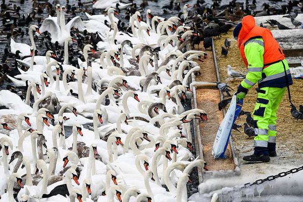 万博全站app官网登录-暴雪国服最快今年夏季上线