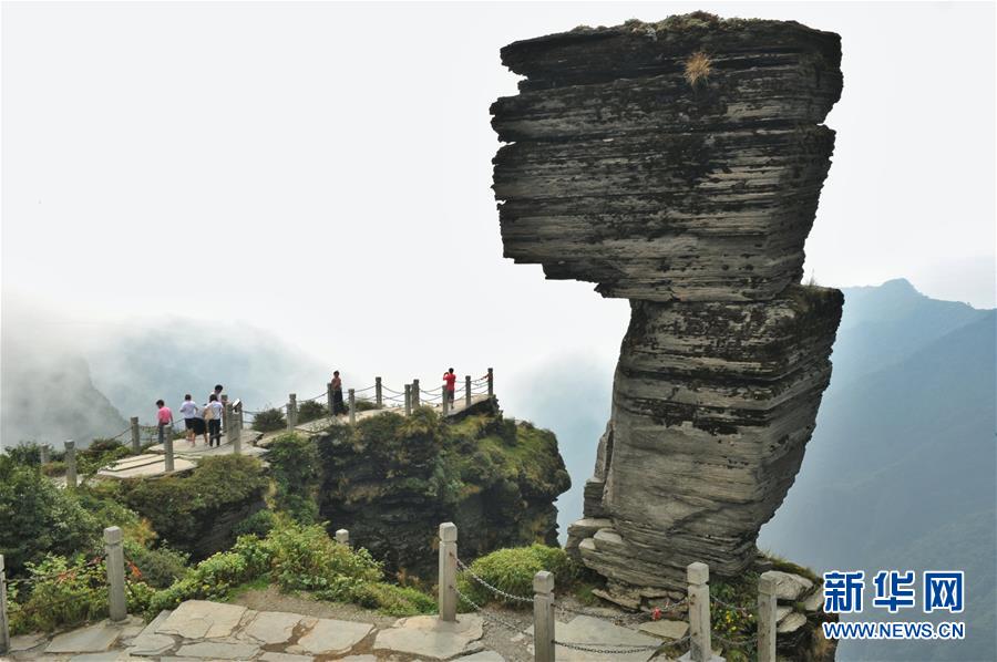 大阳城登录77139