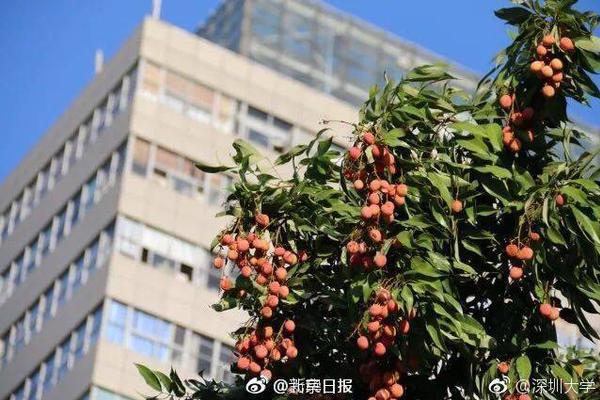 大阳城集团娱乐游戏手机版-昆明被举报婚内出轨的局长已停职