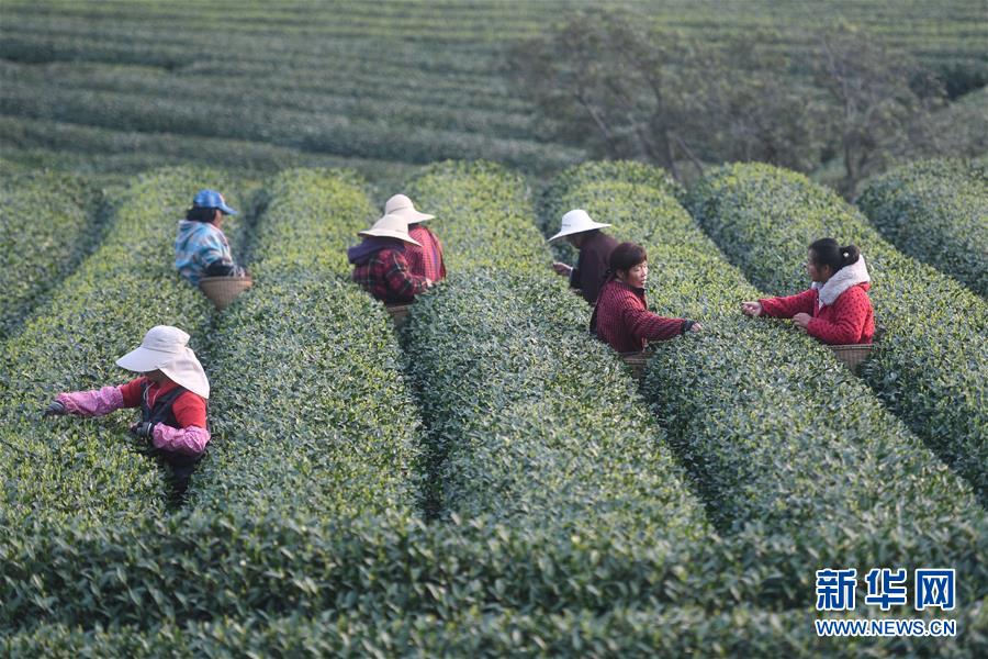 半岛网页版登录入口-二胎家庭只有一间儿童房，如何布置才能满足两个孩子的居住需求？