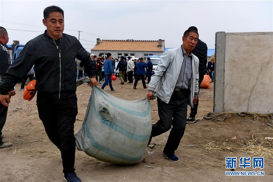 开云app苹果下载-已考证 陵川县发现多种国家重点保护野生植物