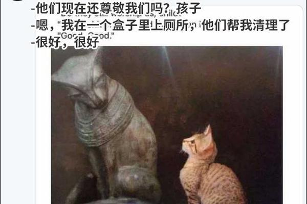 乐竞体育官方官网