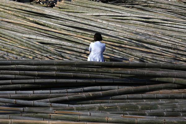 半岛在线登录入口相关推荐4