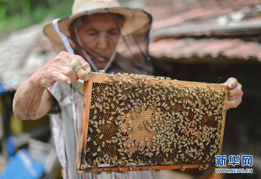 米兰体育app下载并安装-马上评丨有虐猫经历
，还能上研究生么	
？