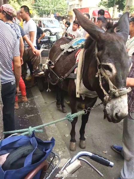 澳门吉尼斯人游戏平台下载-辞职旅行半年后我的生活翻天覆地