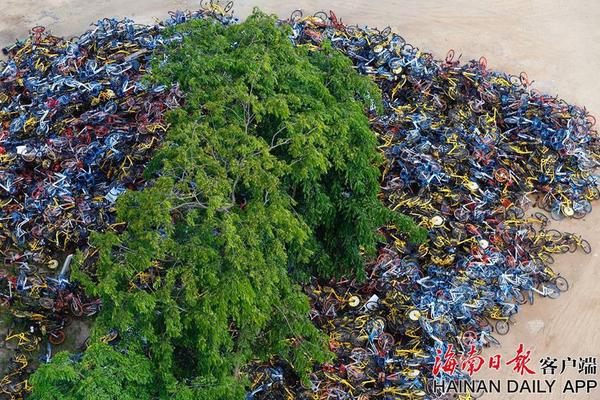 半岛网页版登录入口-月薪三万的家庭主妇