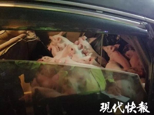 乐竞体育链接入口相关推荐4