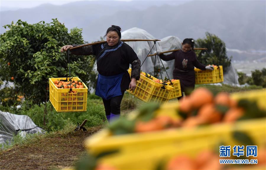 牛牛金花游戏app相关推荐10