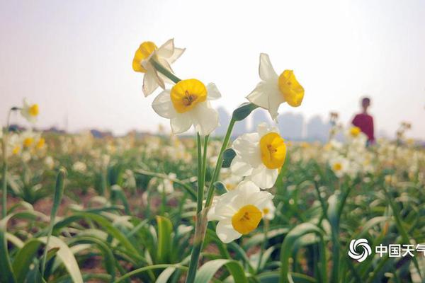 开云app苹果下载相关推荐9