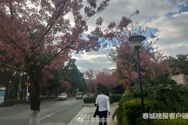 欧宝app官网首页-男子举报教师妻子骗钱赌博枉为人师
，教育局回应「已接到举报
，正在调查」，如何看待此事？