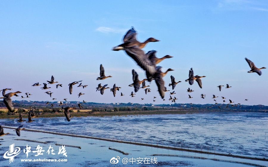 半岛在线体育网-半岛在线体育网