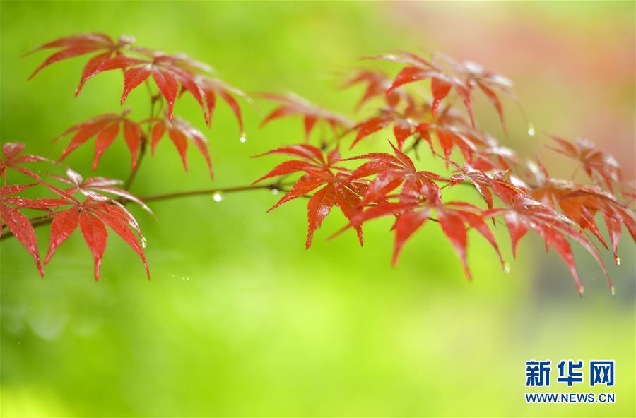 乐鱼在线登录平台-乐鱼在线登录平台