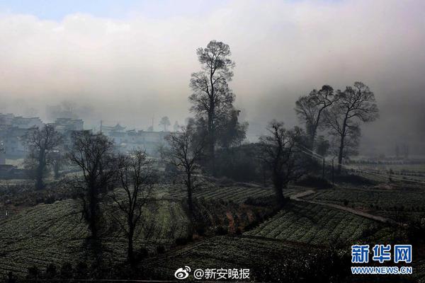 亚搏版-阳朔县葡萄镇：以民生项目建设擦亮乡村振兴幸福底色