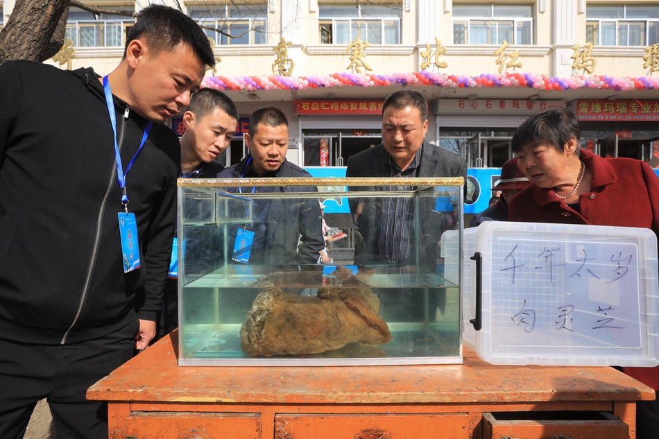 澳门澳京官网-盗墓笔记之怒海潜沙