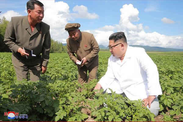 开云手机在线官网相关推荐1