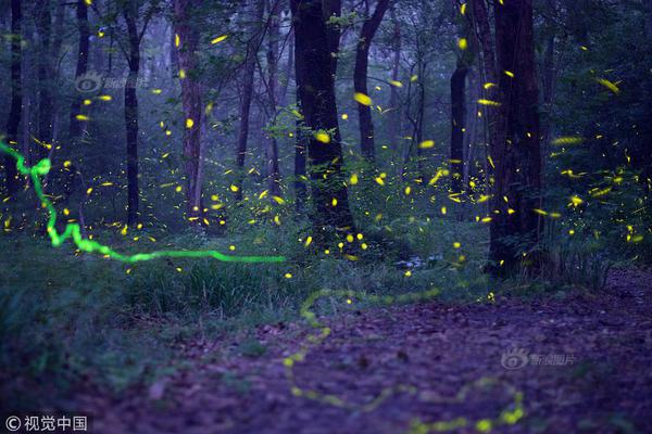 半岛在线登录官网-半岛在线登录官网