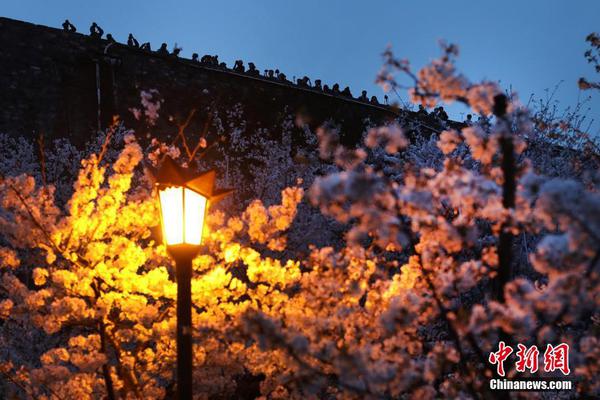 开云app官方官网-周雨彤 一次醉酒换来一生内向