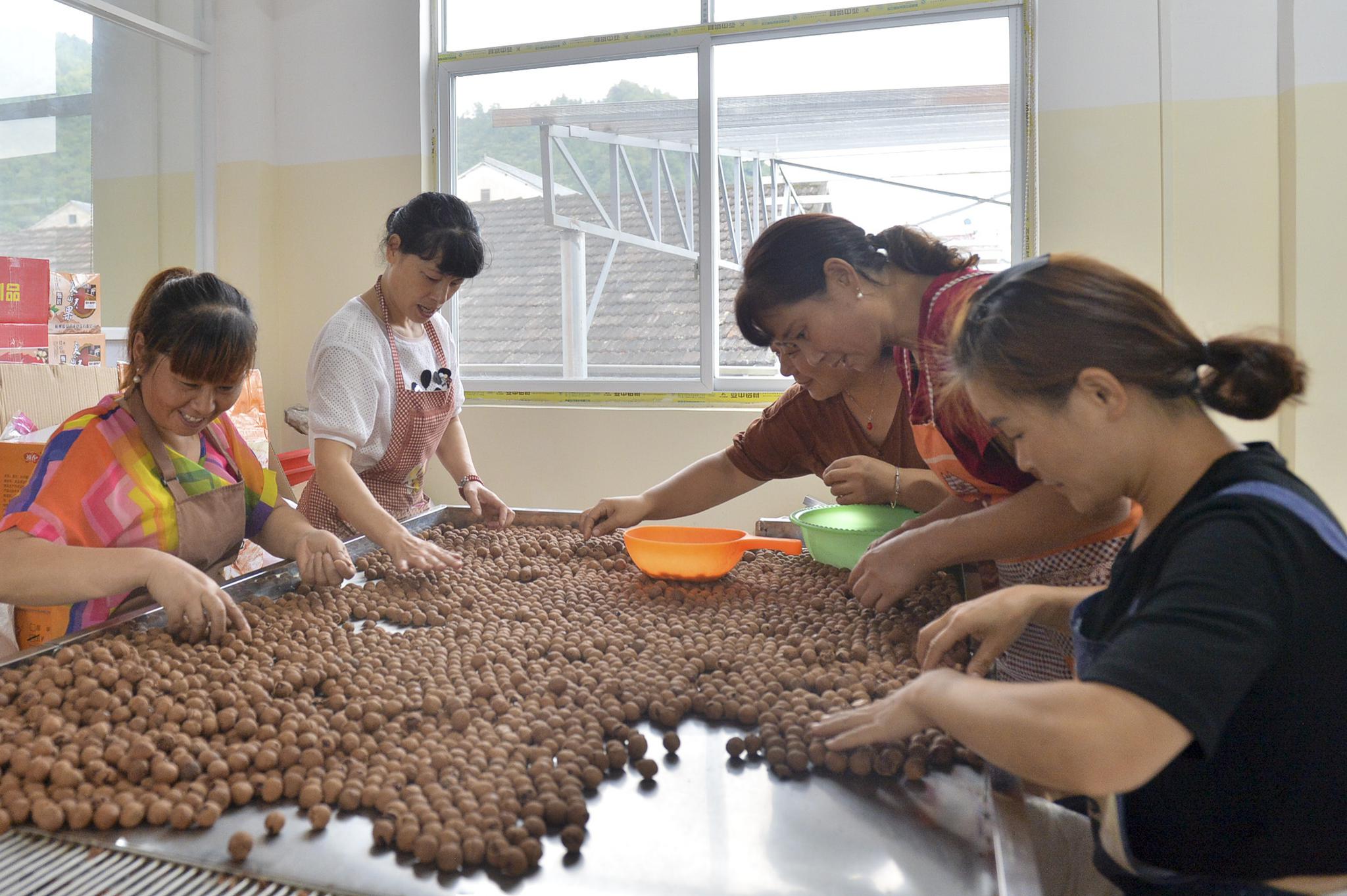 威尼斯888电子游戏下载