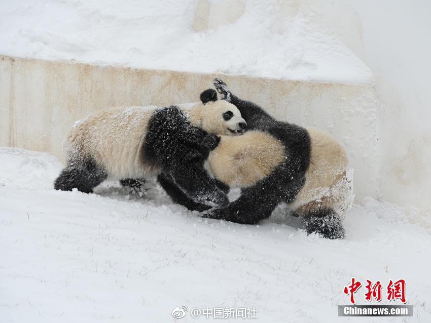 乐鱼官方在线登录-乐鱼官方在线登录