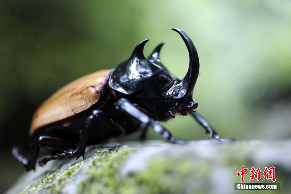 乐鱼在线登录平台-乐鱼在线登录平台