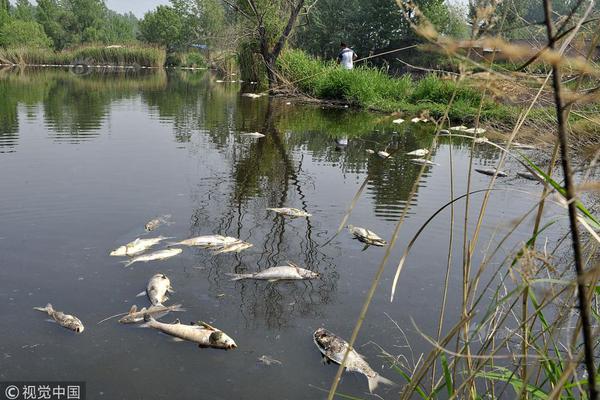 亚星会员登录入口-兰大回应“虐猫考生进入调剂名单”
：是否录取会综合考量