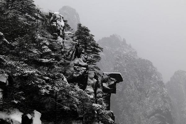 星空体育在线登录-辞职旅行半年后我的生活翻天覆地