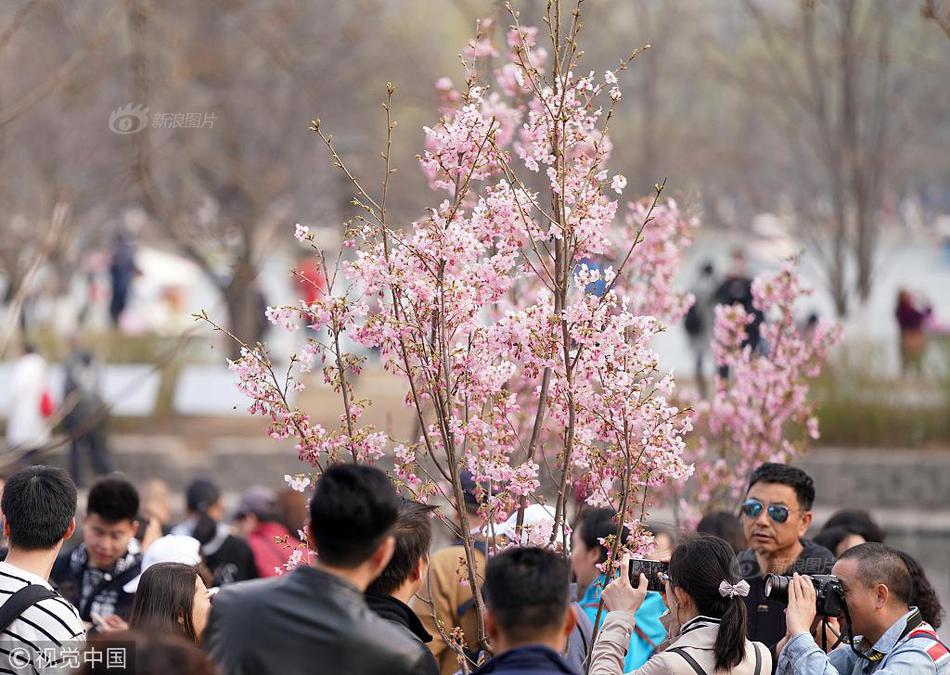 银河十大平台-虐猫考生未被兰州大学录取