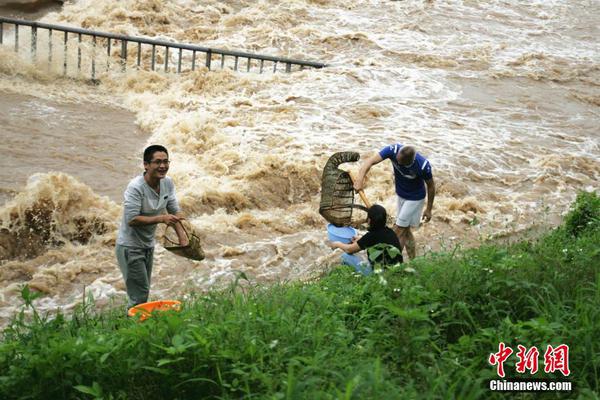 博鱼综合体育app平台-博鱼综合体育app平台