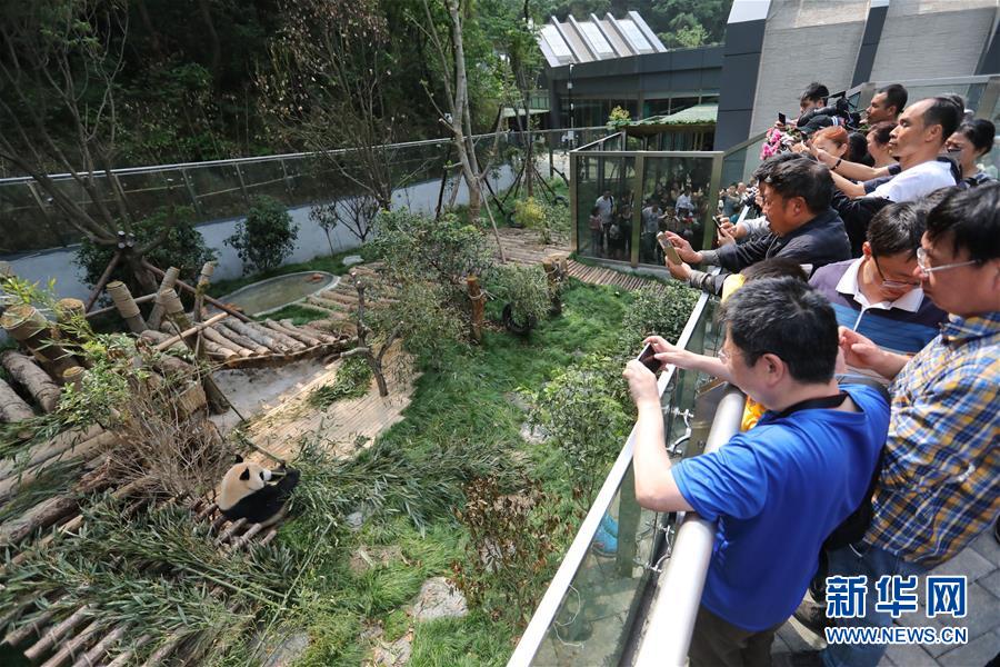 赌钱游戏pg-兰大回应虐猫考生进调剂名单