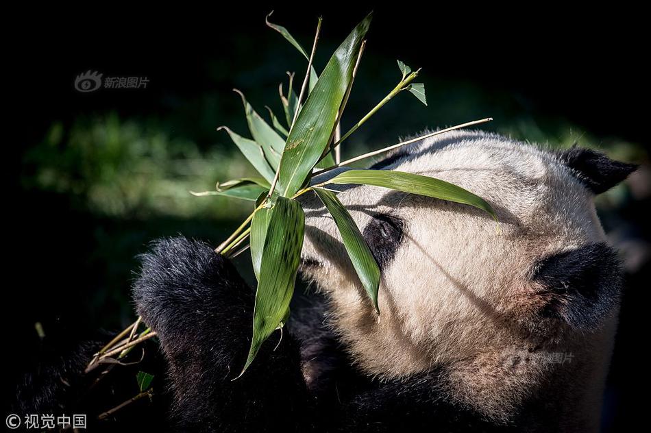 中欧在线登录相关推荐4