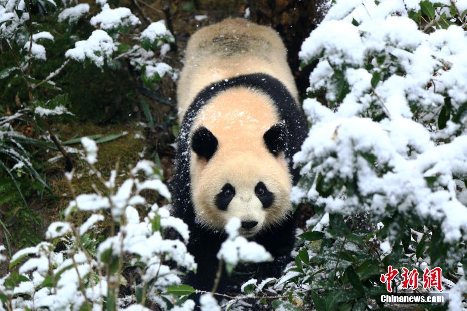 博亚娱乐网-俄称证据表明音乐厅恐袭嫌犯与乌特工部门有联系