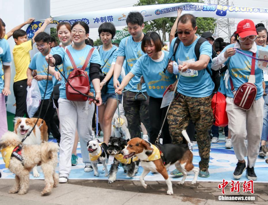 星空app网站-“提灯定损”之地探访：村里住着很多陪读妈妈，当地民宿遭大量退订