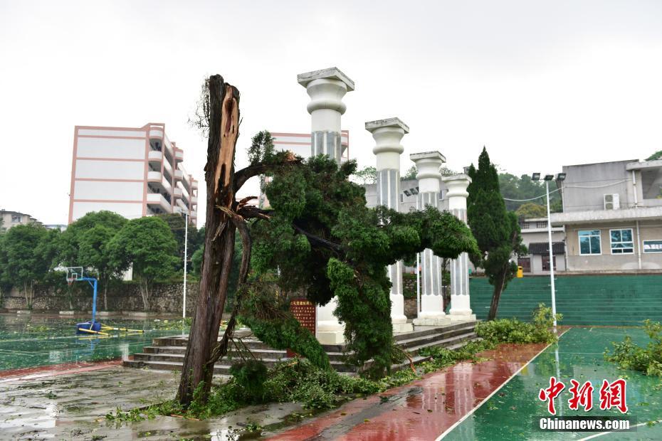 hth在线登录界面