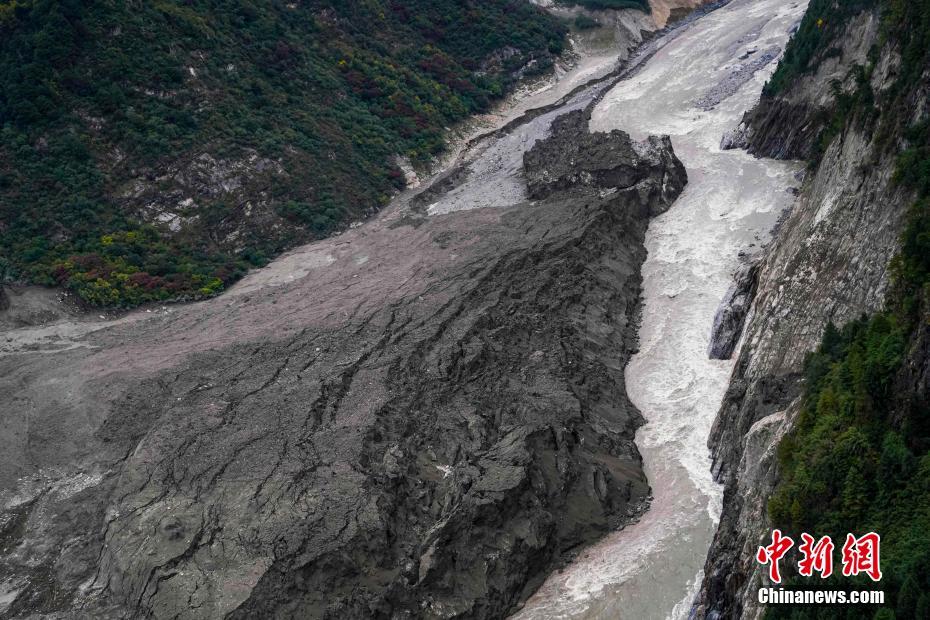 半岛星空体育-兰大回应虐猫考生进调剂名单