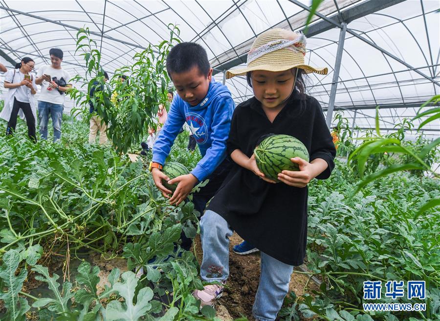 开云kaiyun网页版登录-某幻 水口十