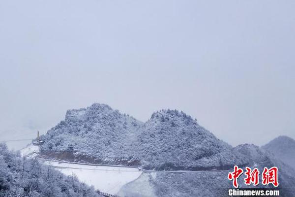 江南登录入口app下载-平顶山执法人员拉扯女子抢夺手机